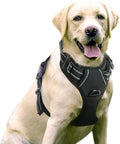 Harnais Anti-Traction pour Chiens Moyen et Grand