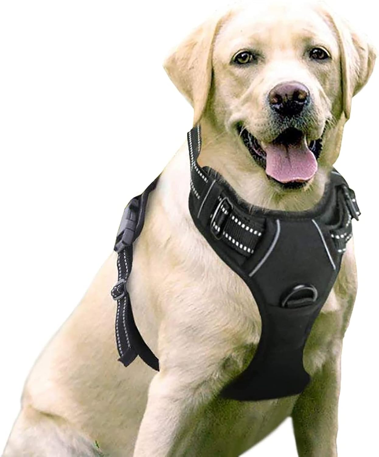 Harnais Anti-Traction pour Chiens Moyen et Grand