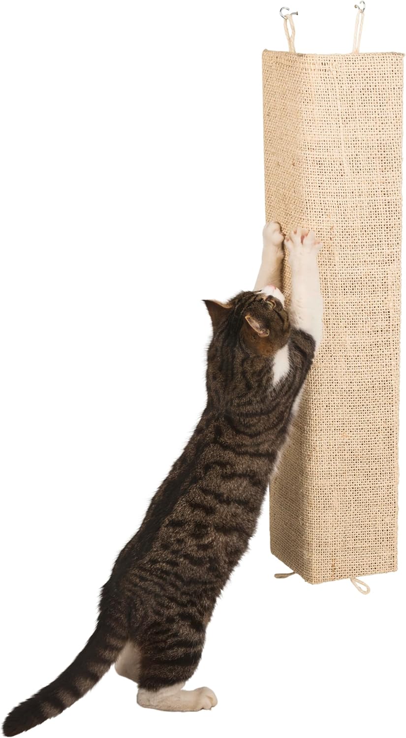 Griffoir Mural Kerbl Kevin pour Chat Beige