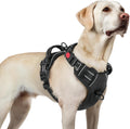Harnais Anti Traction pour Chien avec 3 Boucles