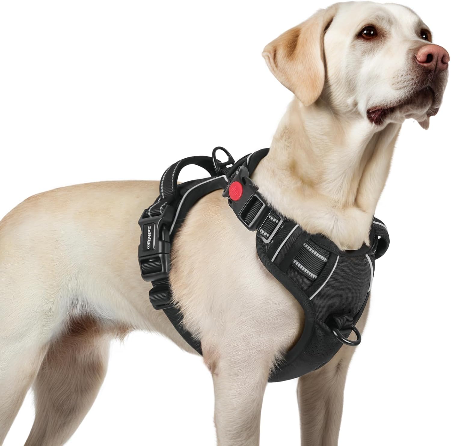 Harnais Anti Traction pour Chien avec 3 Boucles