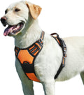 Harnais Anti-Traction Réfléchissant pour Chiens