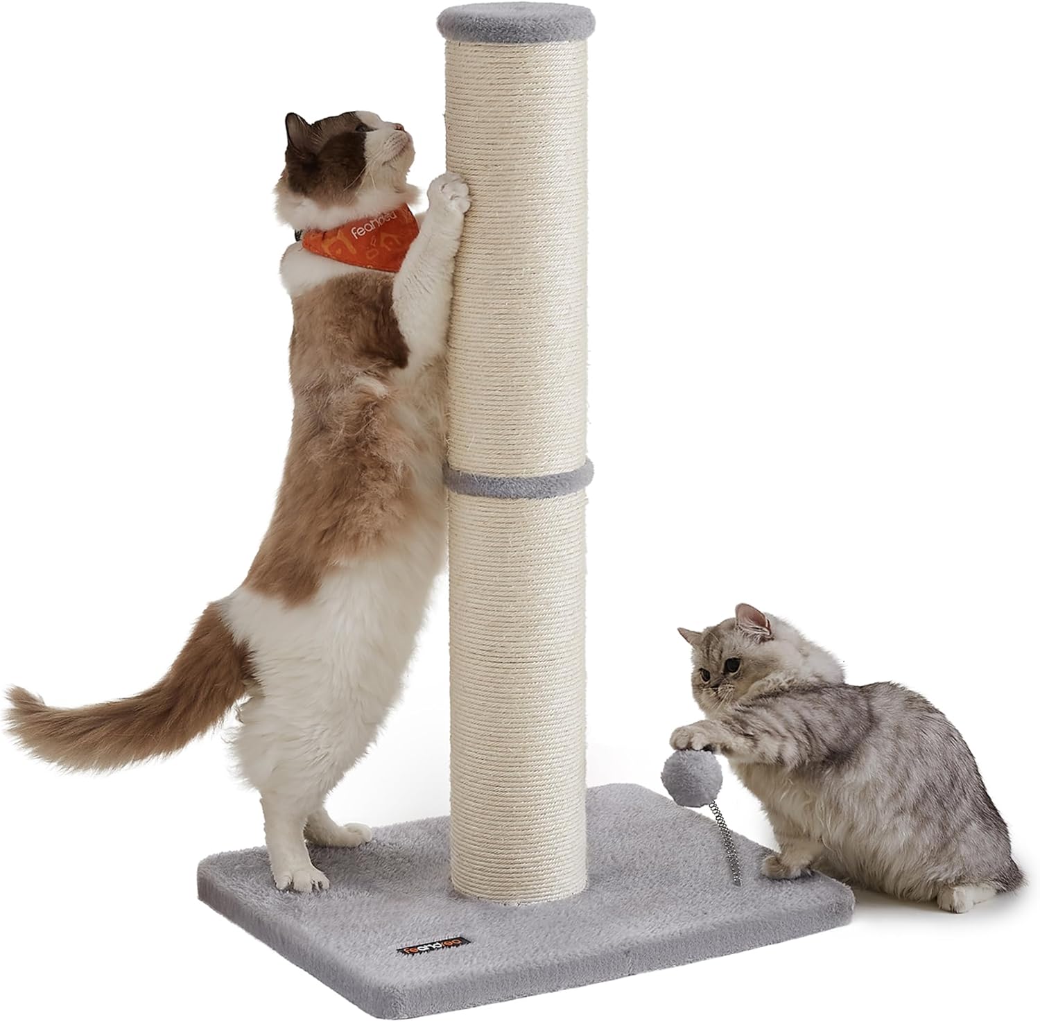 Arbre à Chat XL Feandrea avec Griffoir en Sisal