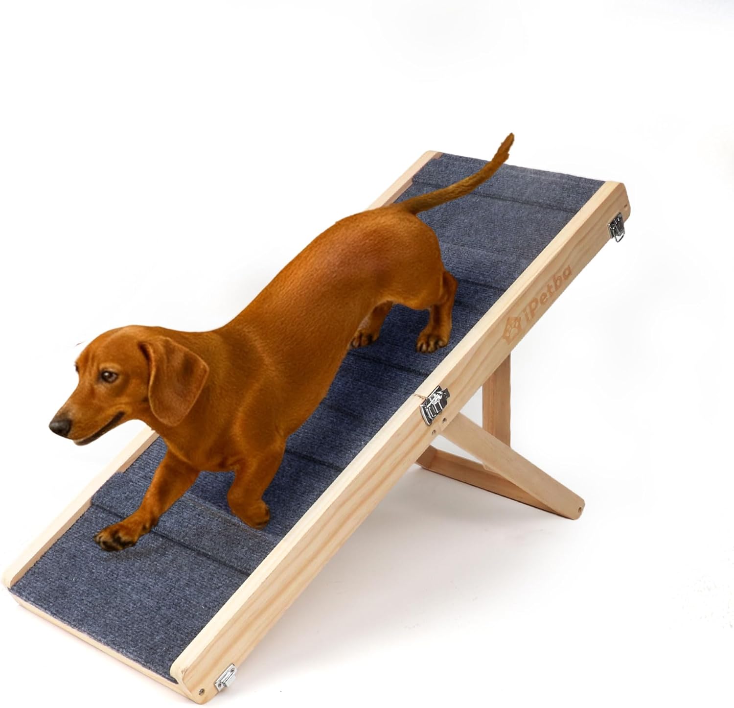 Rampe iPetba pour Chien - Sécurité et Confort