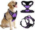 Harnais Chien Anti-Traction Violet Taille M
