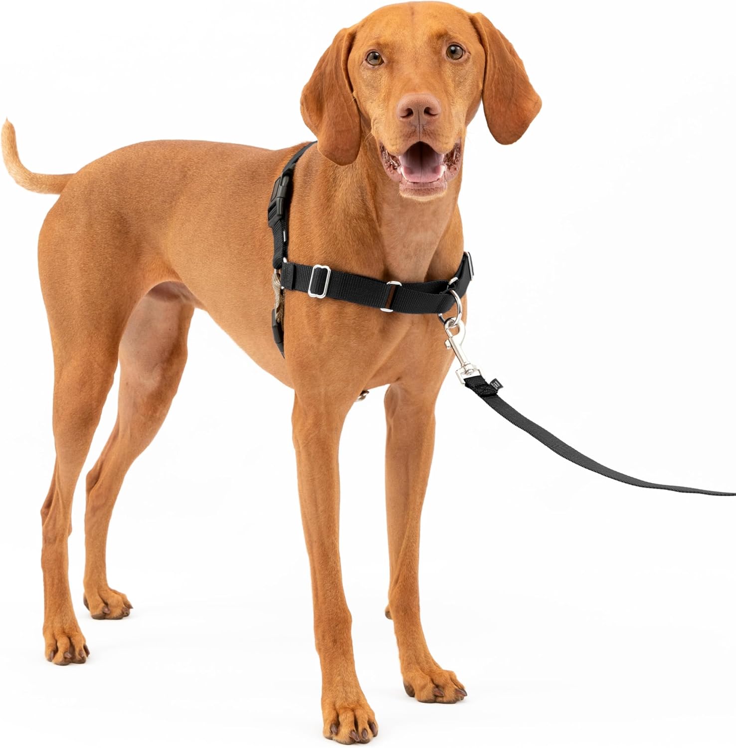 Harnais Easy Walk Anti-Traction pour Chiens - Taille M
