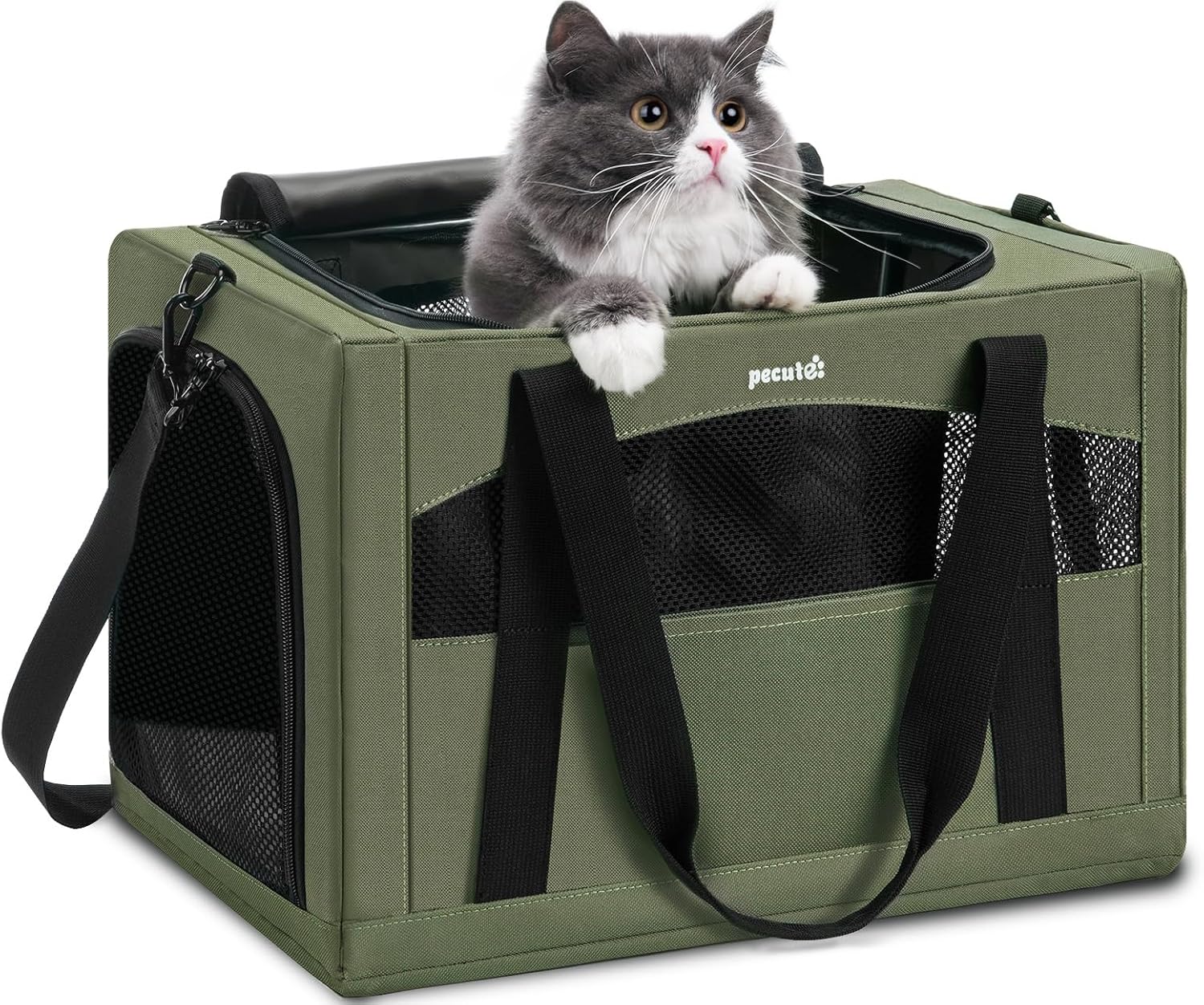Sac de Transport Pliable pour Chat - Pecute