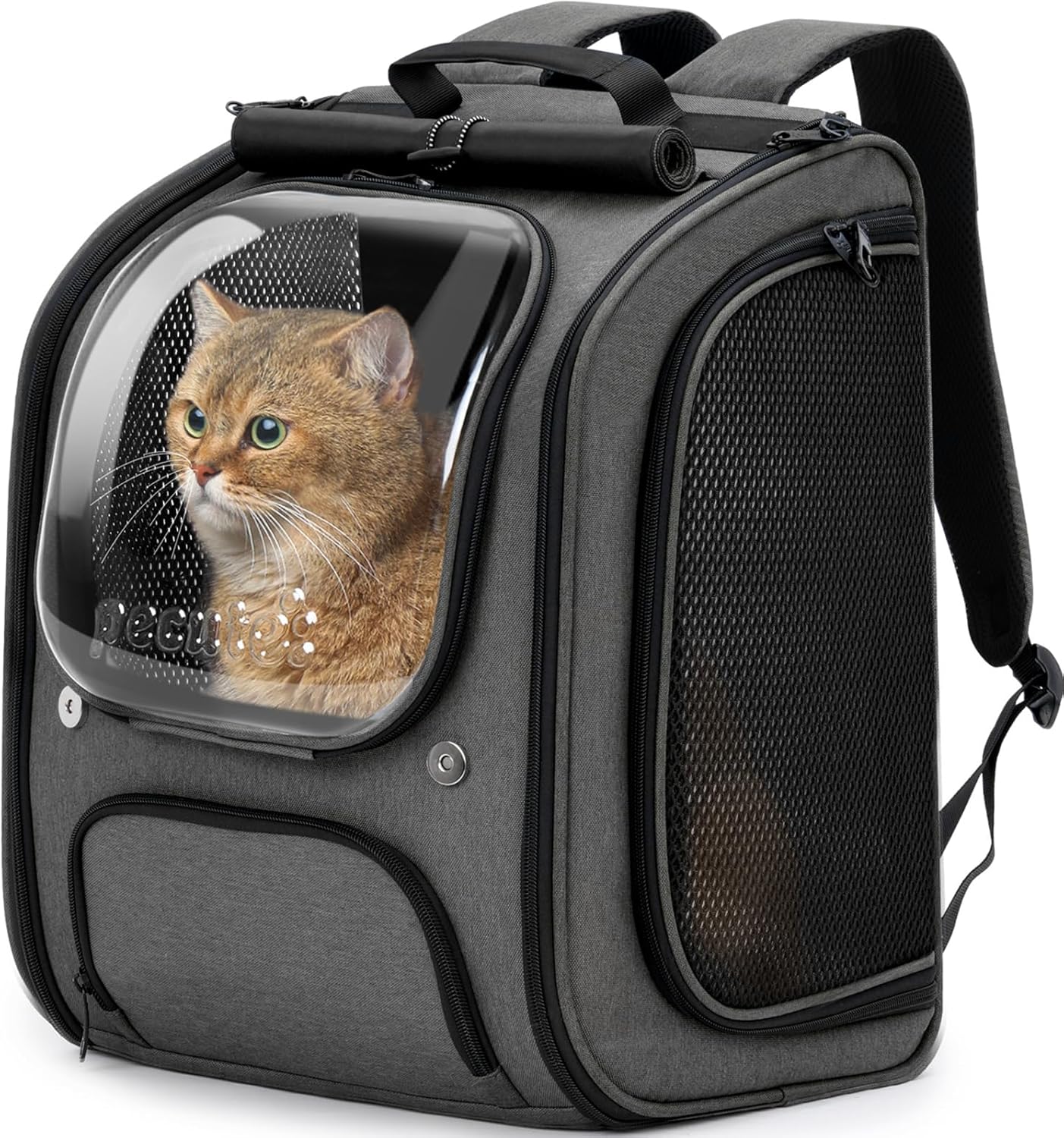 Sac à Dos Chat Pecute Grand Espace Respirant