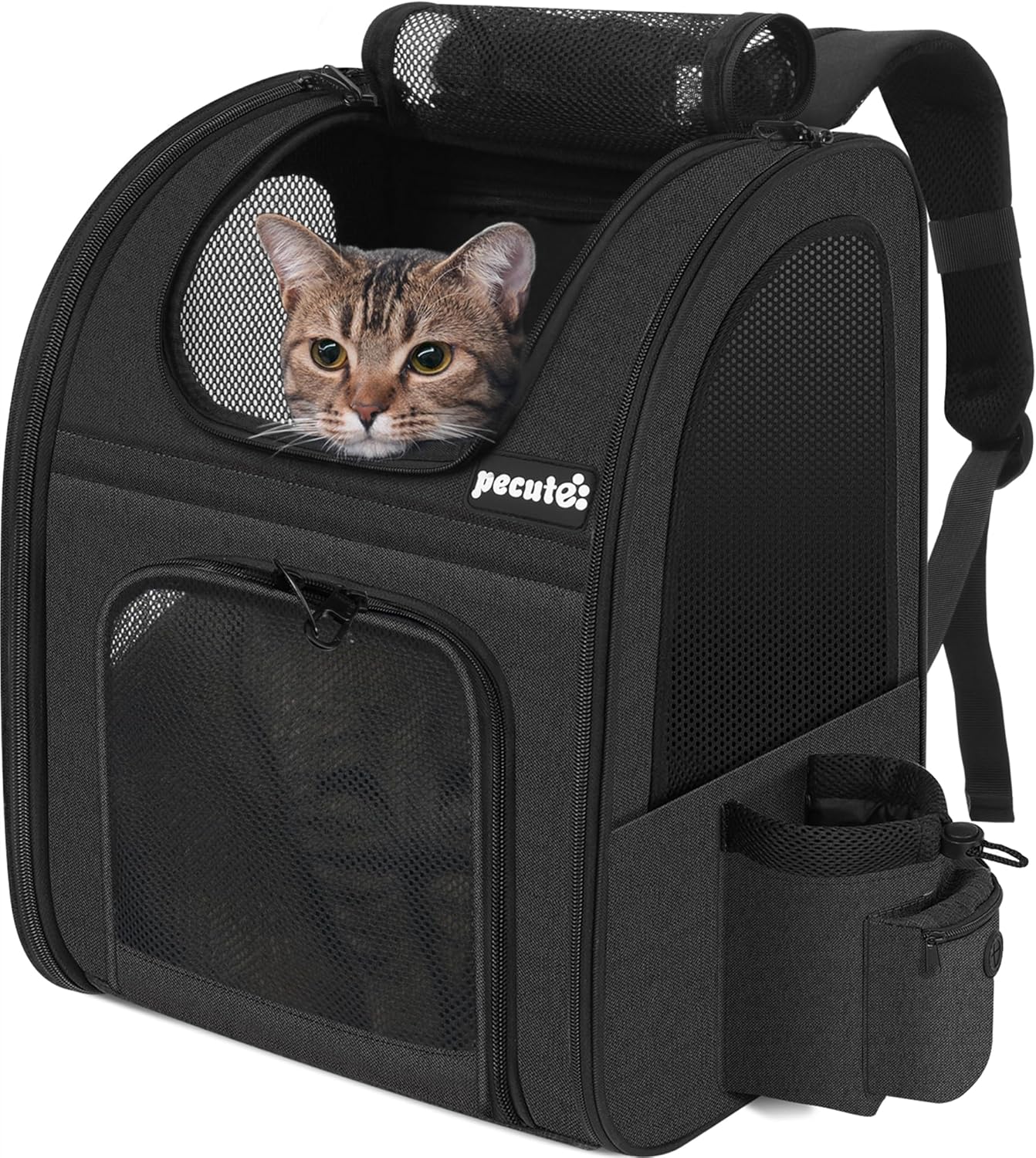 Sac à Dos Chat Pecute Classique et Respirant