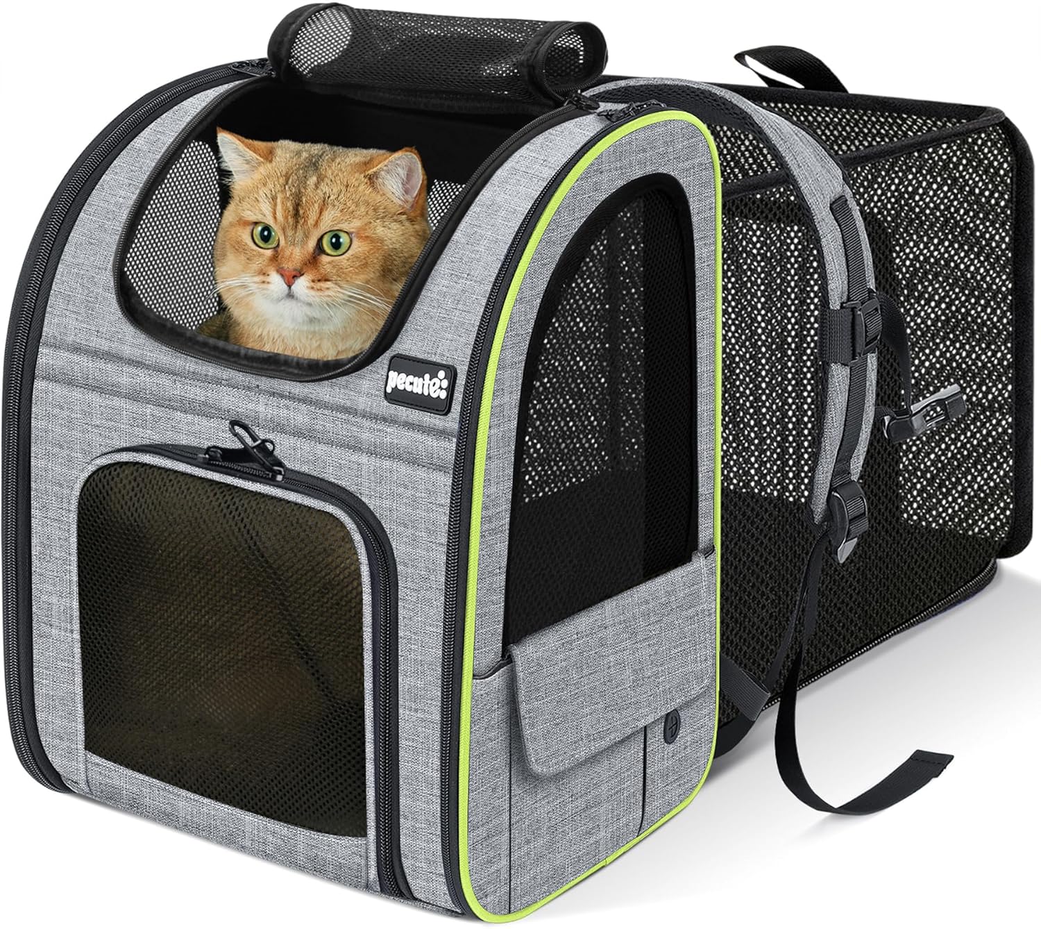 Pecute Sac à Dos Extensible pour Chats et Petits Chiens