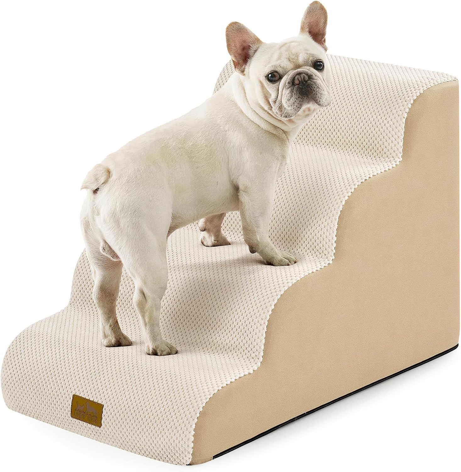 Échelle pour Chiens en Éponge avec Couvercle Amovible